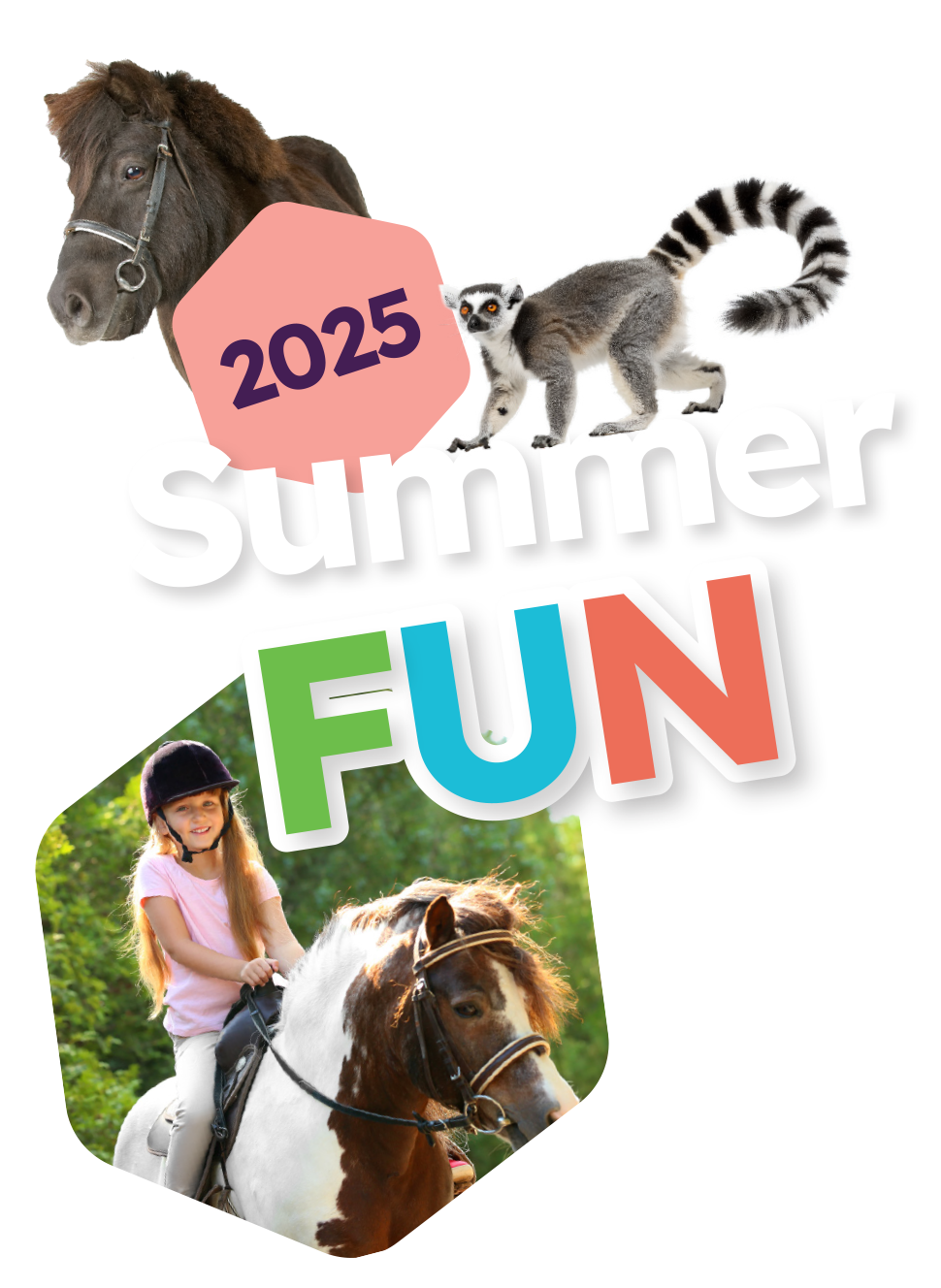 new-summer-fun-24-logo copy